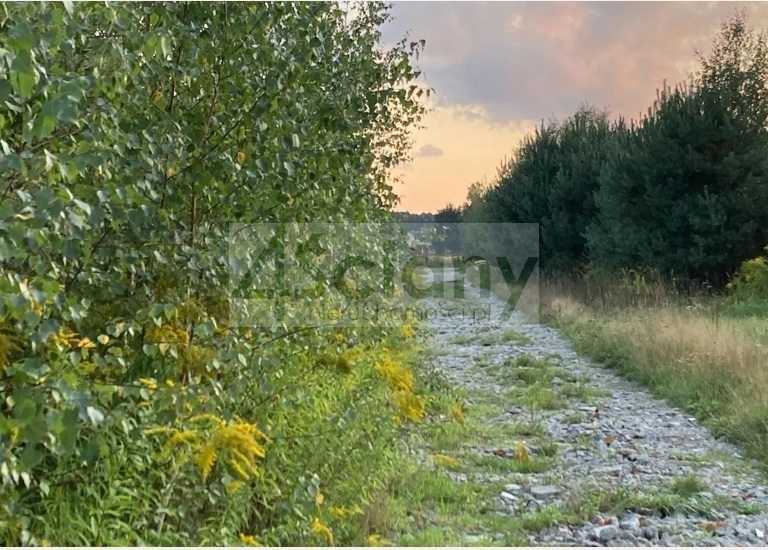 Działka budowlana 2991&nbsp;m², Siestrzeń - zdjęcie 2