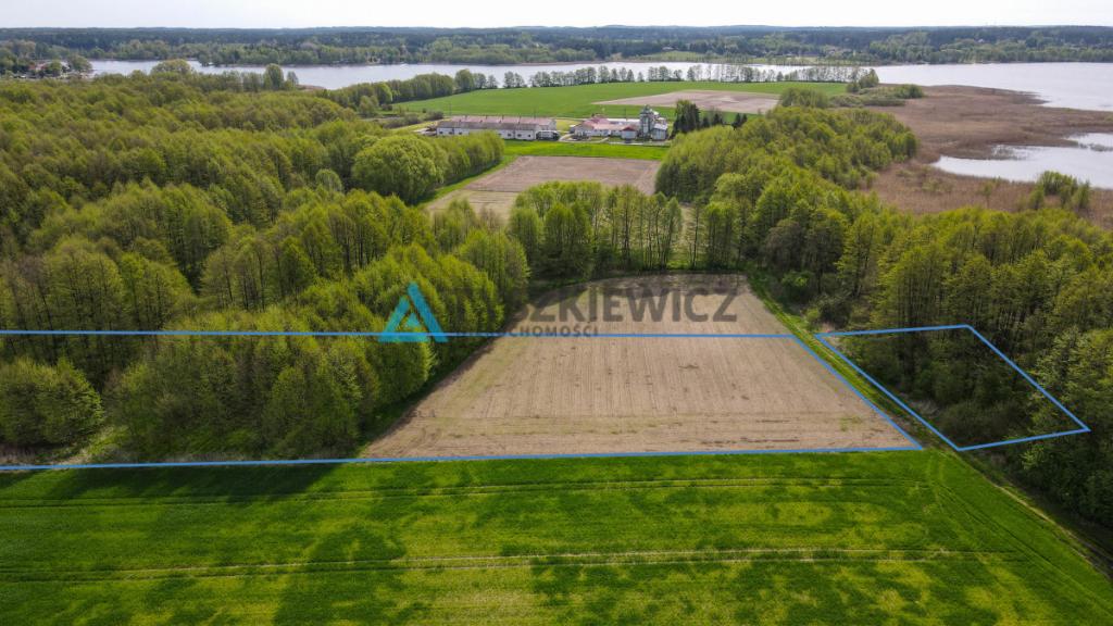 i jezioro i las - 2 w 1 na duuuużej działce - zdjęcie 12