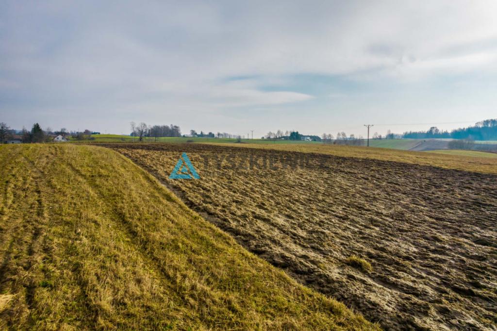 Działki z przepięknym widokiem. - zdjęcie 19