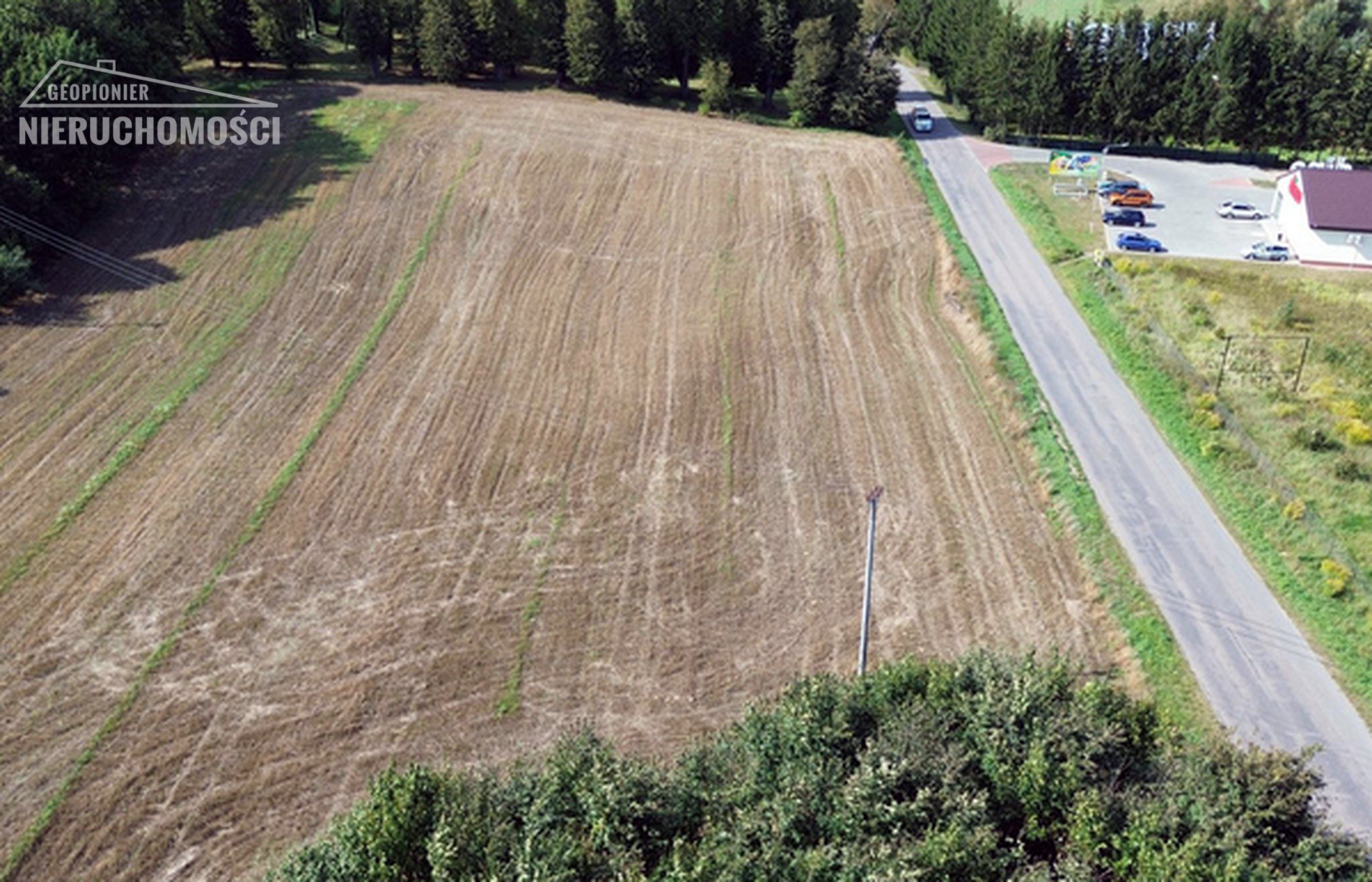 Lubajny, niezabudowana działka gruntu 11200 m2 - zdjęcie 2