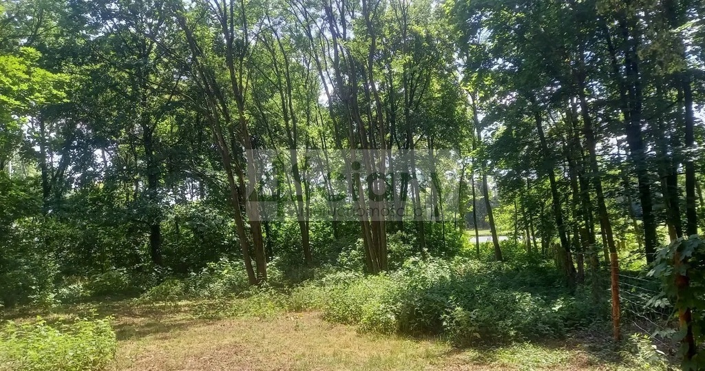 Działka budowlana 2589 m², Podkowa Leśna - zdjęcie 1
