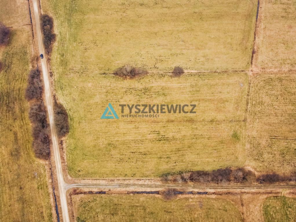 Duża działka rolna w pobliżu jeziora - zdjęcie 9