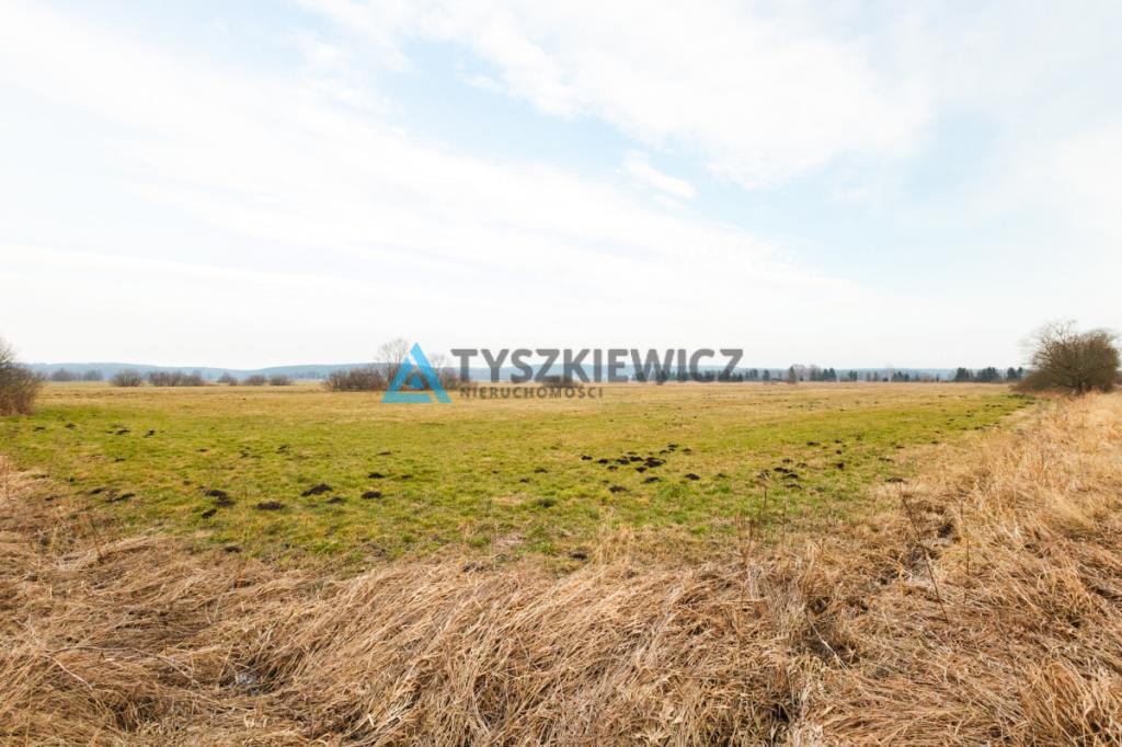 Duża działka rolna w pobliżu jeziora - zdjęcie 15