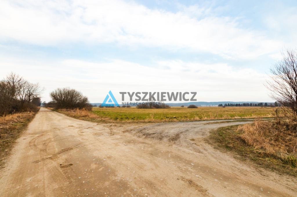 Duża działka rolna w pobliżu jeziora - zdjęcie 18