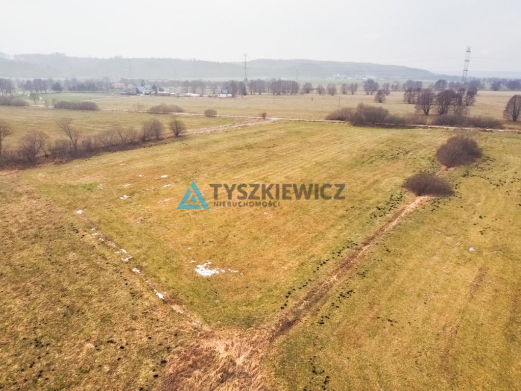 Duża działka rolna w pobliżu jeziora - zdjęcie 8