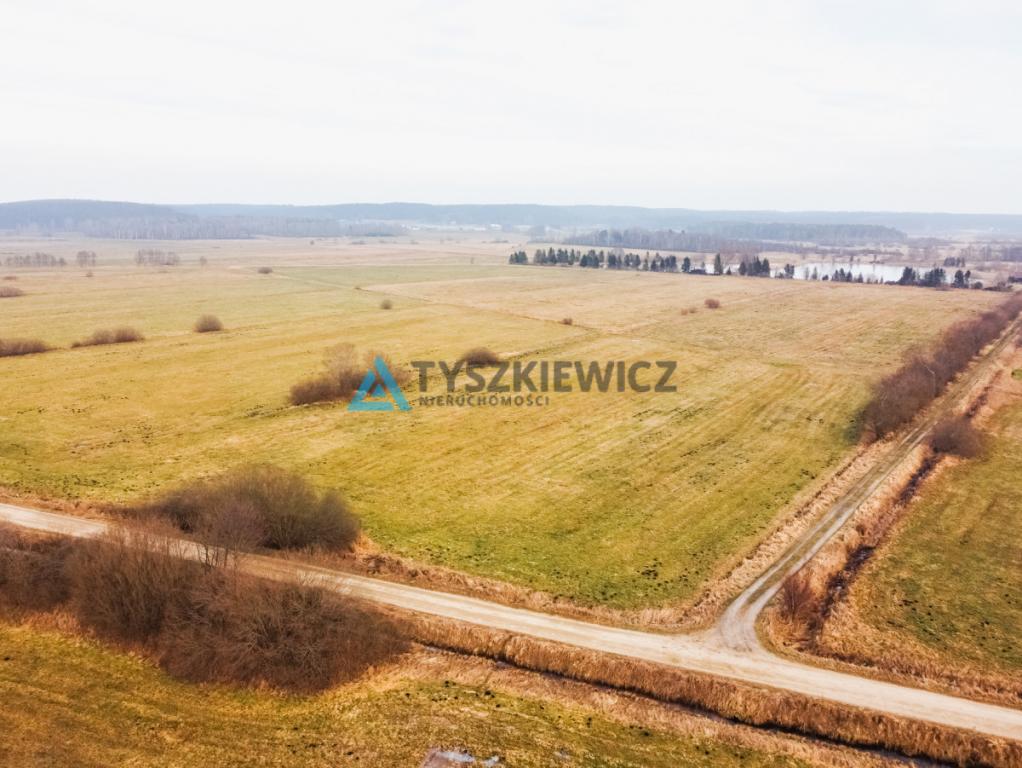 Duża działka rolna w pobliżu jeziora - zdjęcie 5