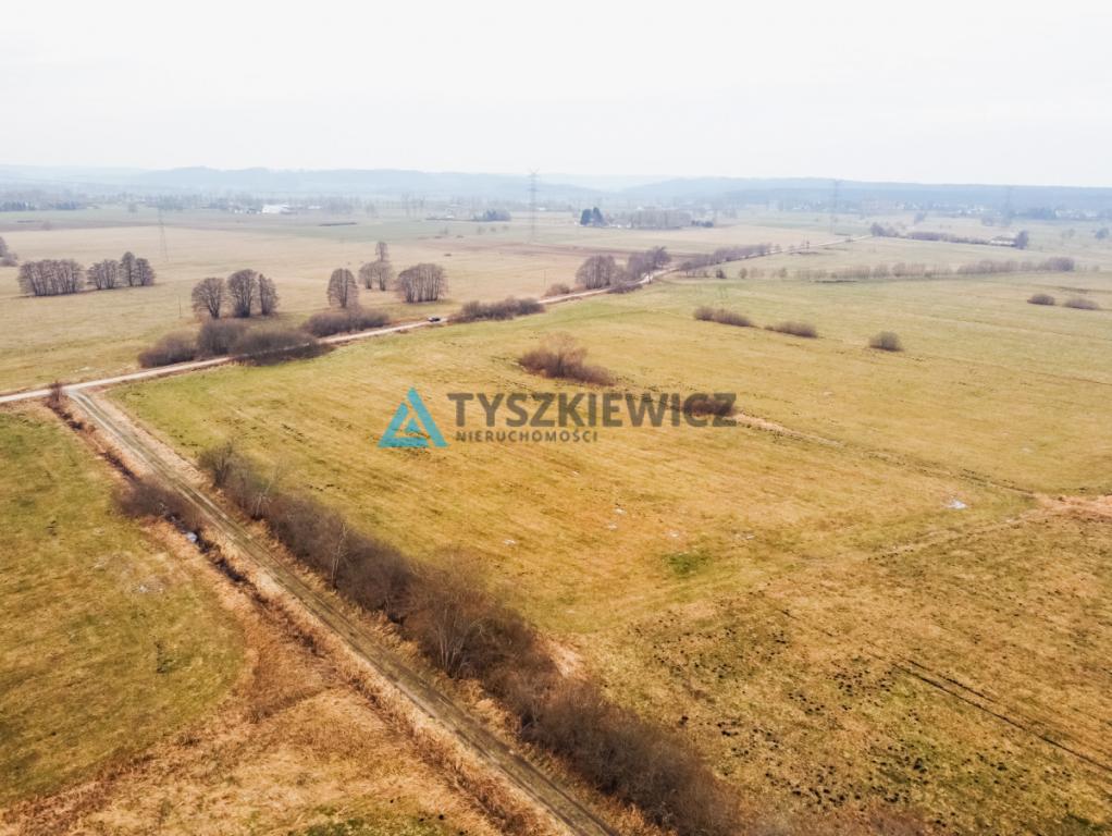 Duża działka rolna w pobliżu jeziora - zdjęcie 4