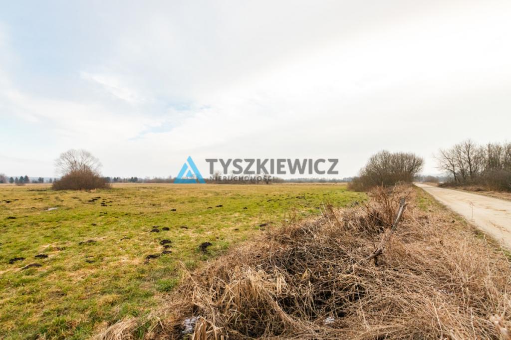 Duża działka rolna w pobliżu jeziora - zdjęcie 19