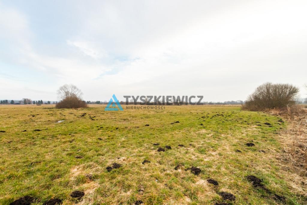 Duża działka rolna w pobliżu jeziora - zdjęcie 20