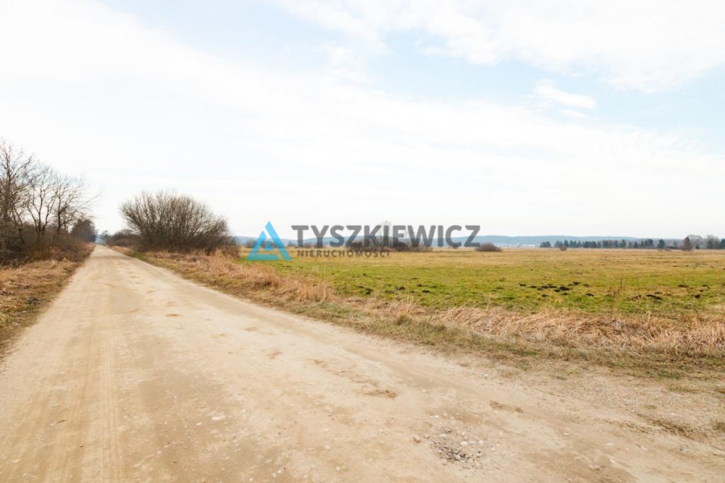 Duża działka rolna w pobliżu jeziora - zdjęcie 14