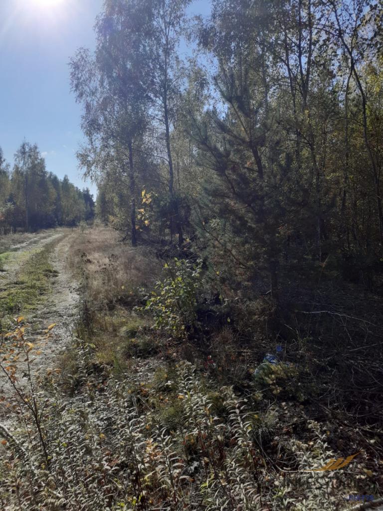 Działka rolna 1,5 ha 60 min od Warszawy - zdjęcie 1