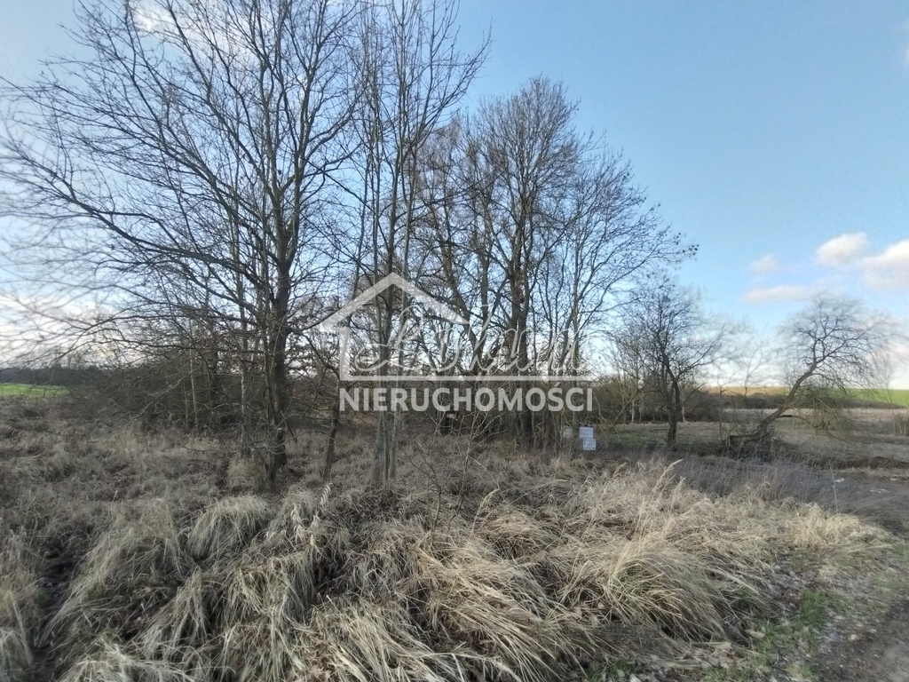 Działka budowlana 1110&nbsp;m², Siadło Dolne - zdjęcie 2