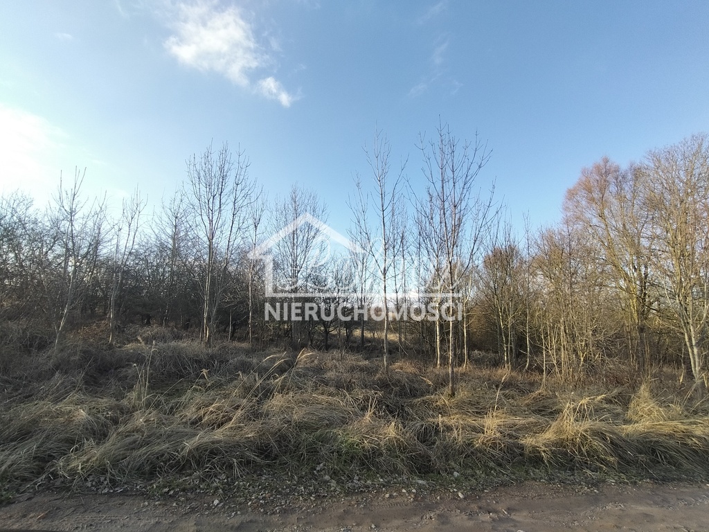 Działka budowlana 1110&nbsp;m², Siadło Dolne - zdjęcie 1