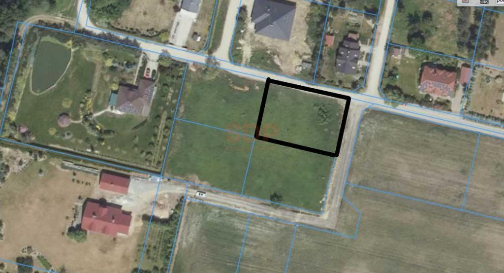 Działka budowlana 1250 m², Brzezina - zdjęcie 5