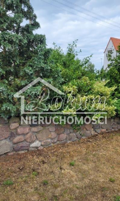 Działka budowlana 1200 m², Rajsko - zdjęcie 2