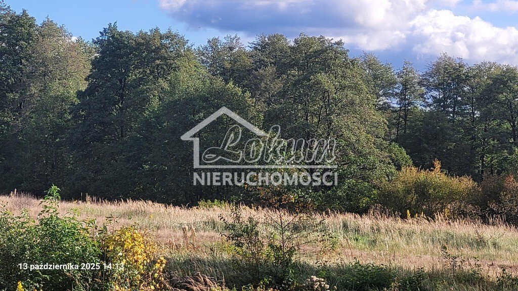 Działka budowlana 1200 m², Rajsko - zdjęcie 1