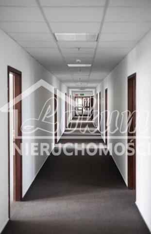 Lokal biurowy do wynajęcia, 138&nbsp;m², Szczecin - zdjęcie 4