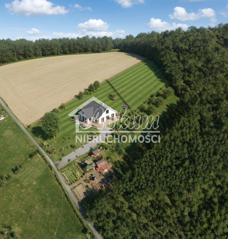 Działka budowlana 3813&nbsp;m², Drzewica - zdjęcie 3