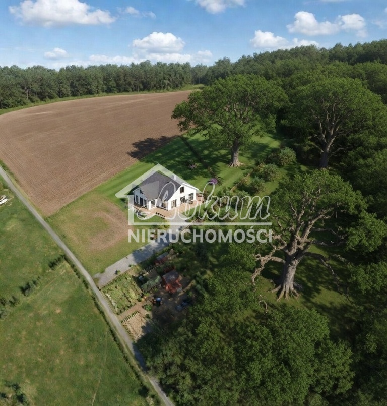 Działka budowlana 3813&nbsp;m², Drzewica - zdjęcie 1