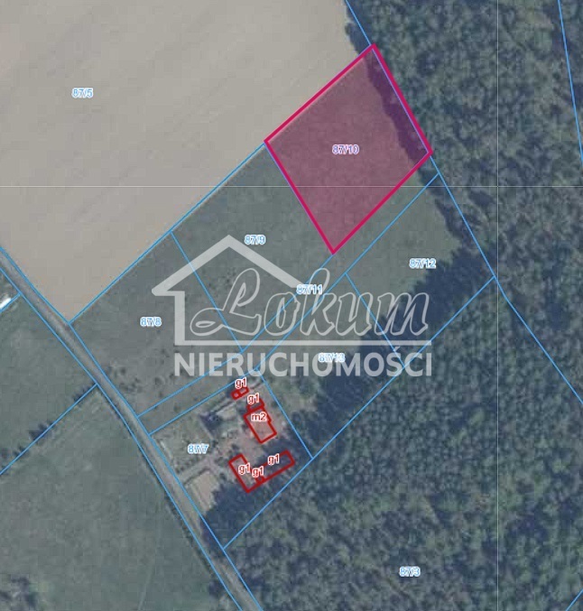 Działka budowlana 3813&nbsp;m², Drzewica - zdjęcie 1