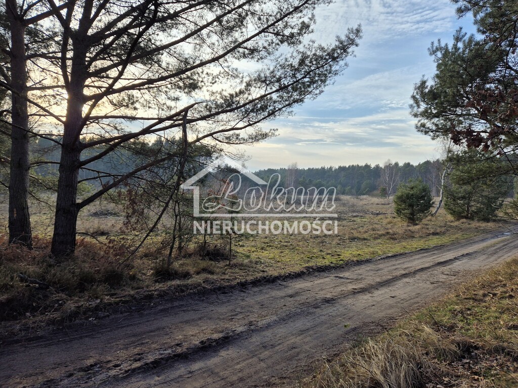 Działka gospodarstwo 2102&nbsp;m², Świnoujście, Przytór, Zalewowa - zdjęcie 1