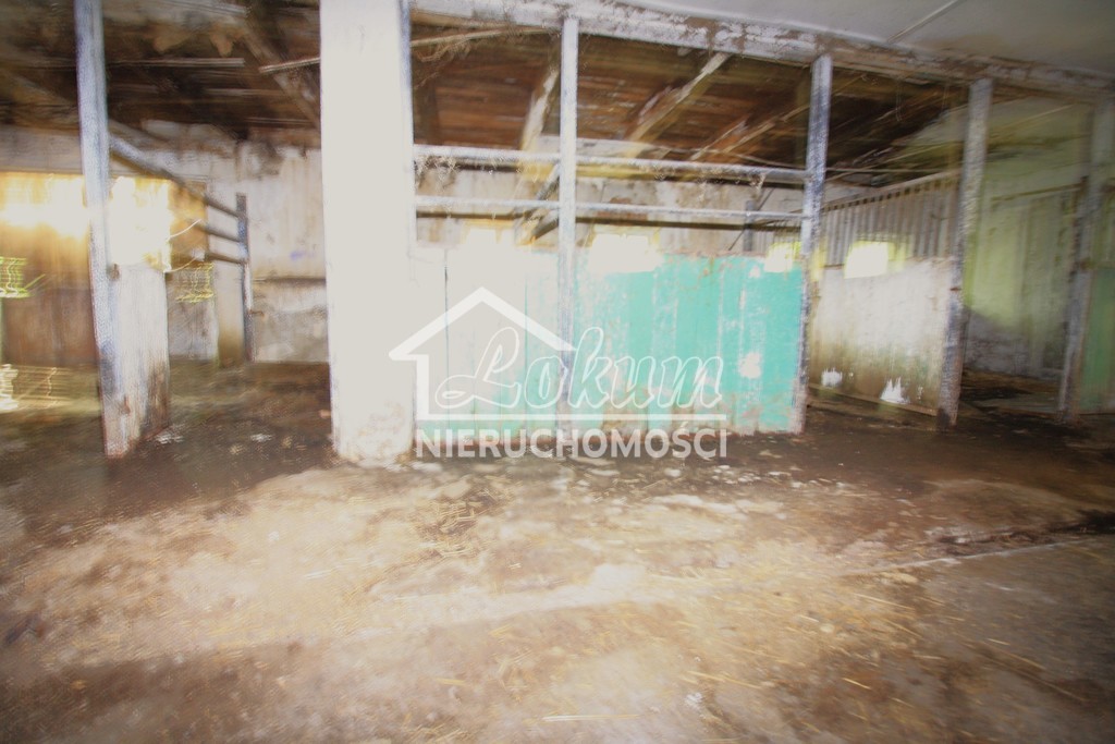 Lokal usługowy na sprzedaż, 1980 m², Kurcewo - zdjęcie 9