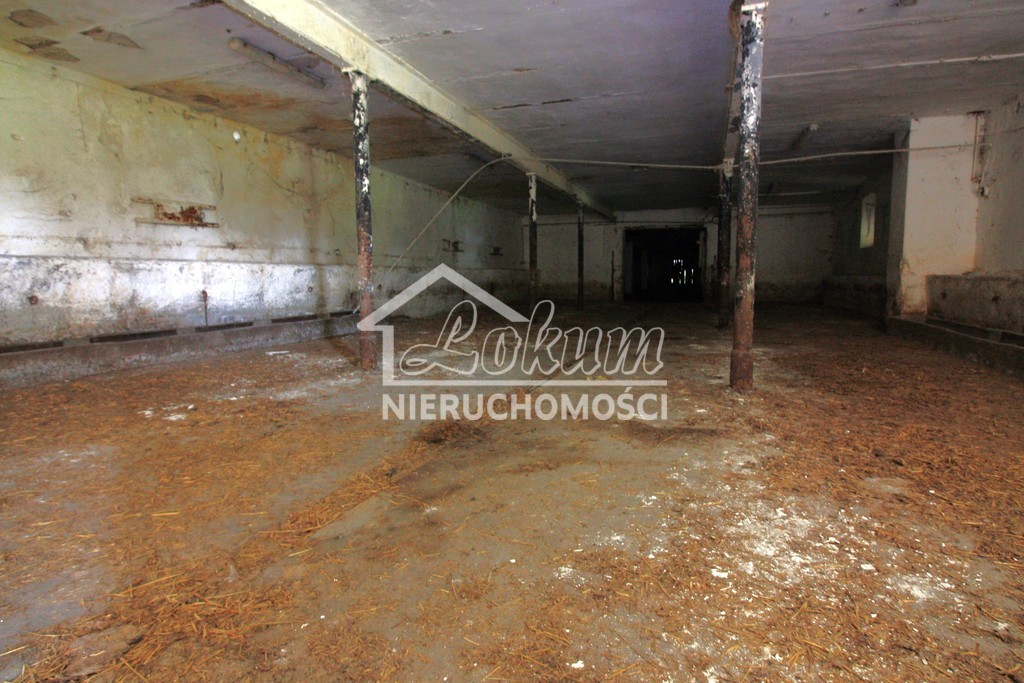 Lokal usługowy na sprzedaż, 1980&nbsp;m², Kurcewo - zdjęcie 7