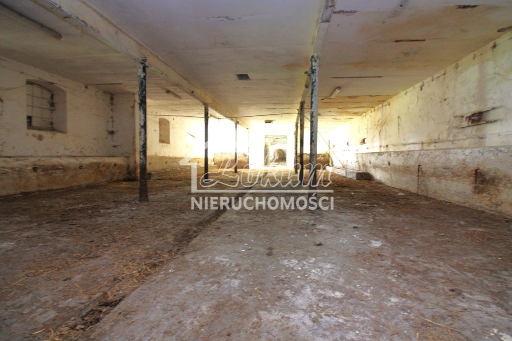 Lokal usługowy na sprzedaż, 1980&nbsp;m², Kurcewo - zdjęcie 11