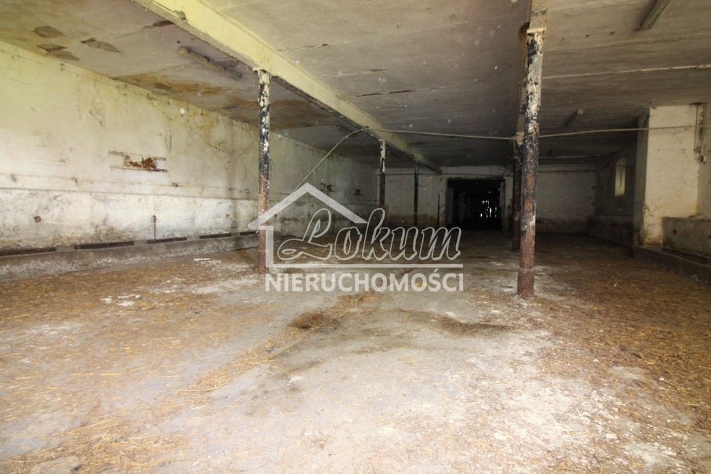 Lokal usługowy na sprzedaż, 1980 m², Kurcewo - zdjęcie 8