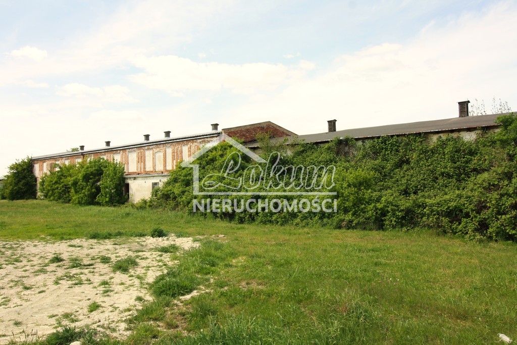 Lokal usługowy na sprzedaż, 1980 m², Kurcewo - zdjęcie 1