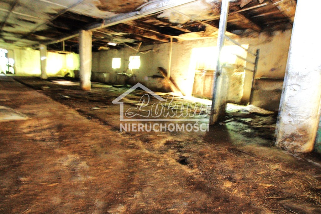 Lokal usługowy na sprzedaż, 1980&nbsp;m², Kurcewo - zdjęcie 10