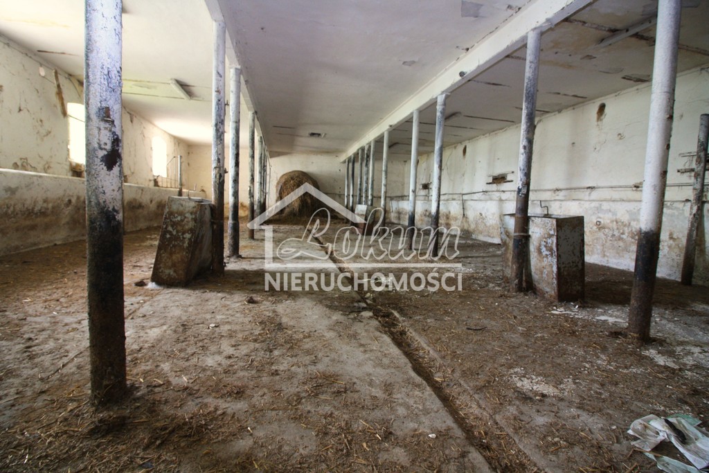 Lokal usługowy na sprzedaż, 1980 m², Kurcewo - zdjęcie 6