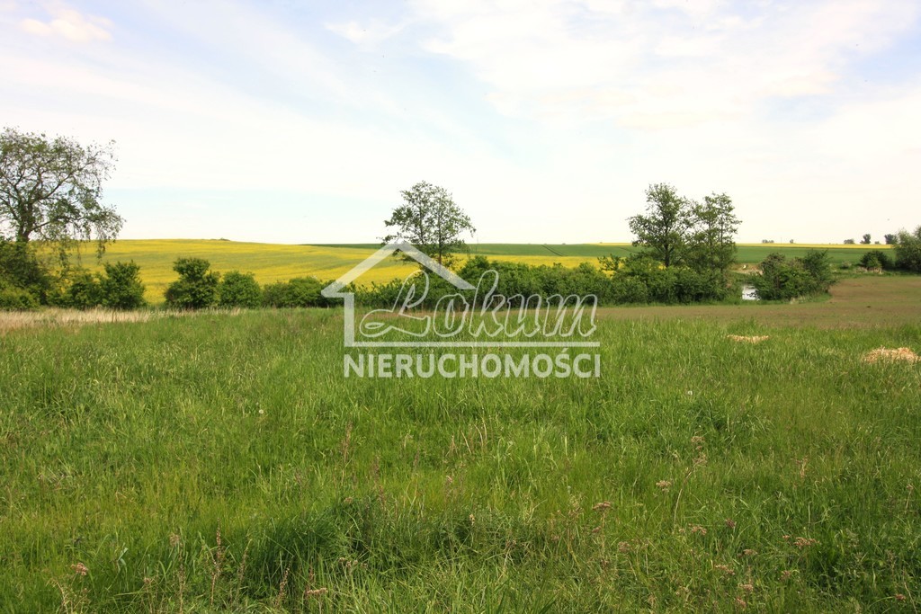 Lokal usługowy na sprzedaż, 1980 m², Kurcewo - zdjęcie 4