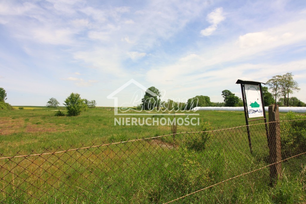Lokal usługowy na sprzedaż, 1980 m², Kurcewo - zdjęcie 5