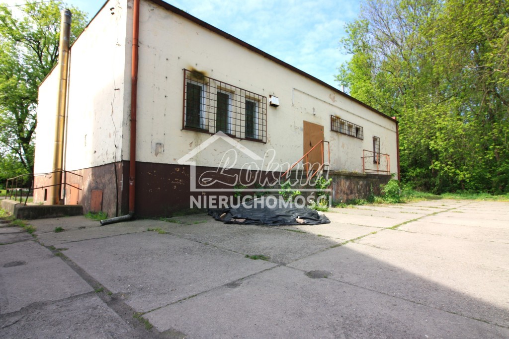 Lokal biurowy na sprzedaż, 193,5 m², Reńsko - zdjęcie 1