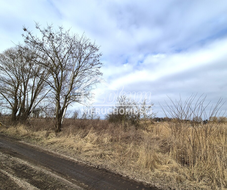 Działka budowlana 753 m², Czarna Łąka - zdjęcie 3