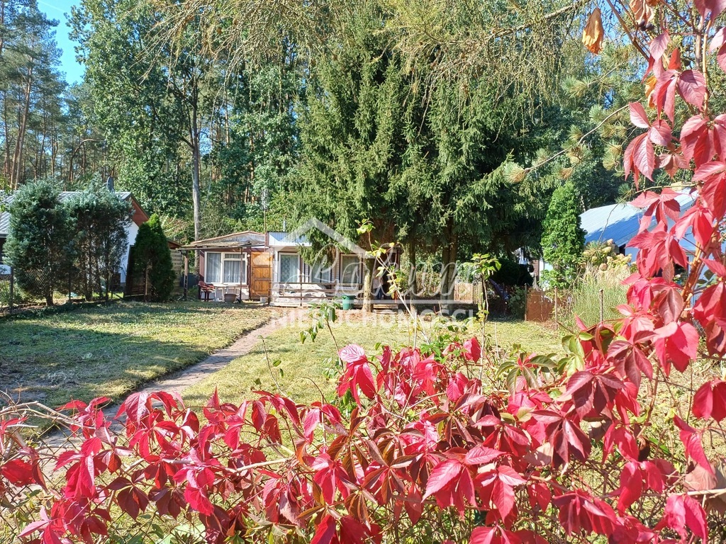 Działka rekreacyjna 400&nbsp;m², Bartoszewo - zdjęcie 2