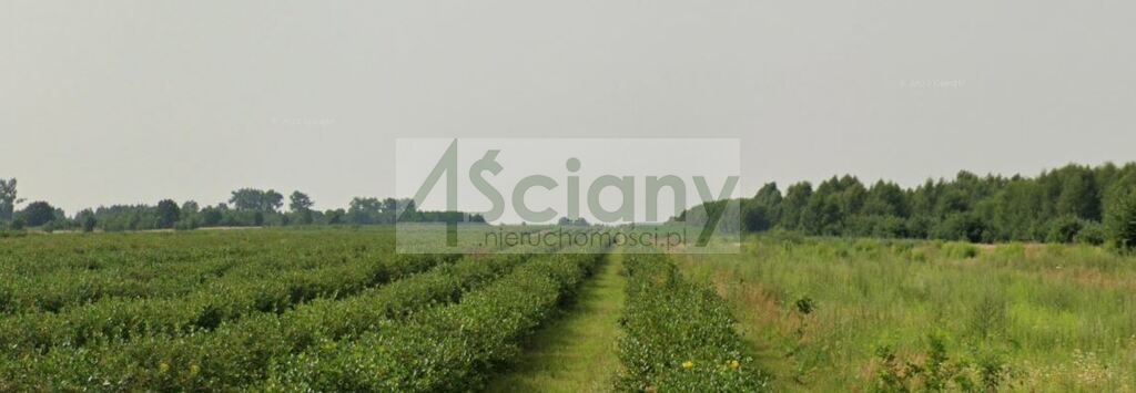 Działka rolna 3016 m², Stary Łajszczew - zdjęcie 2