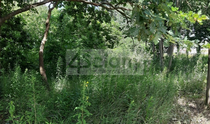 Działka budowlana 1420 m², Granica - zdjęcie 2