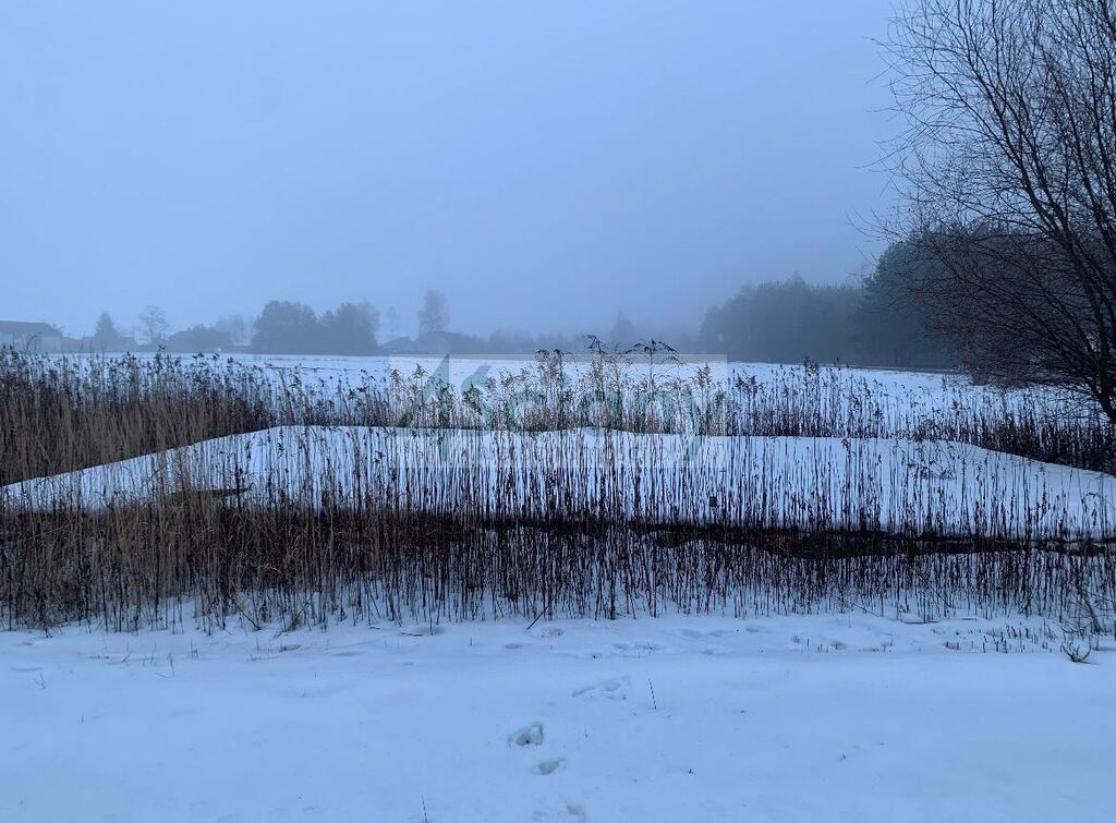 Działka rolna 3500&nbsp;m², Żukówka - zdjęcie 3