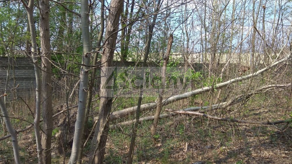 Działka budowlana 1759&nbsp;m², Kobyłka - zdjęcie 1