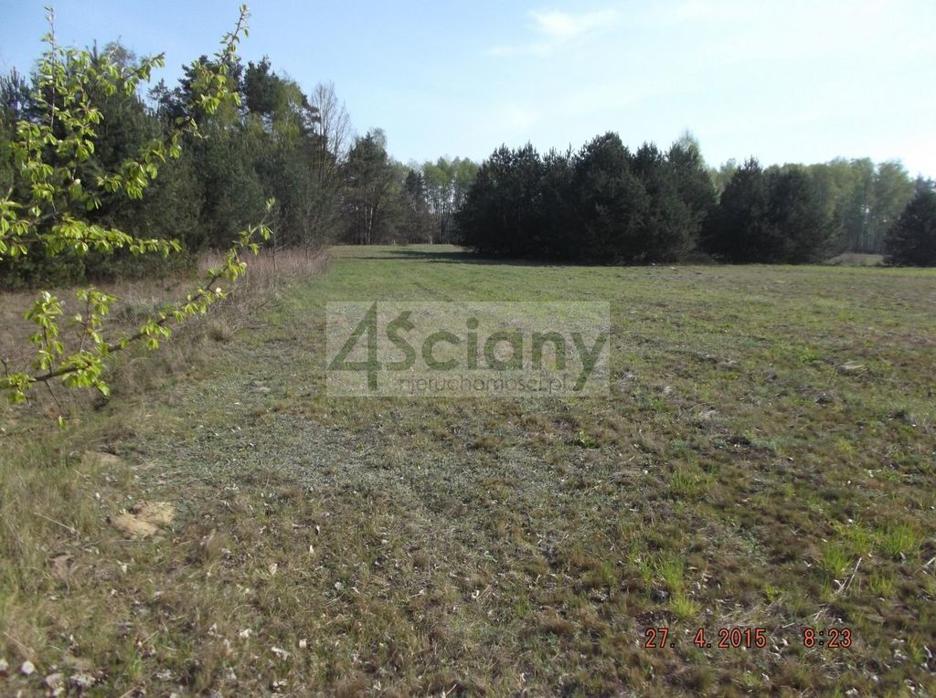 Działka budowlana 2,10 ha, Sierzchów - zdjęcie 8