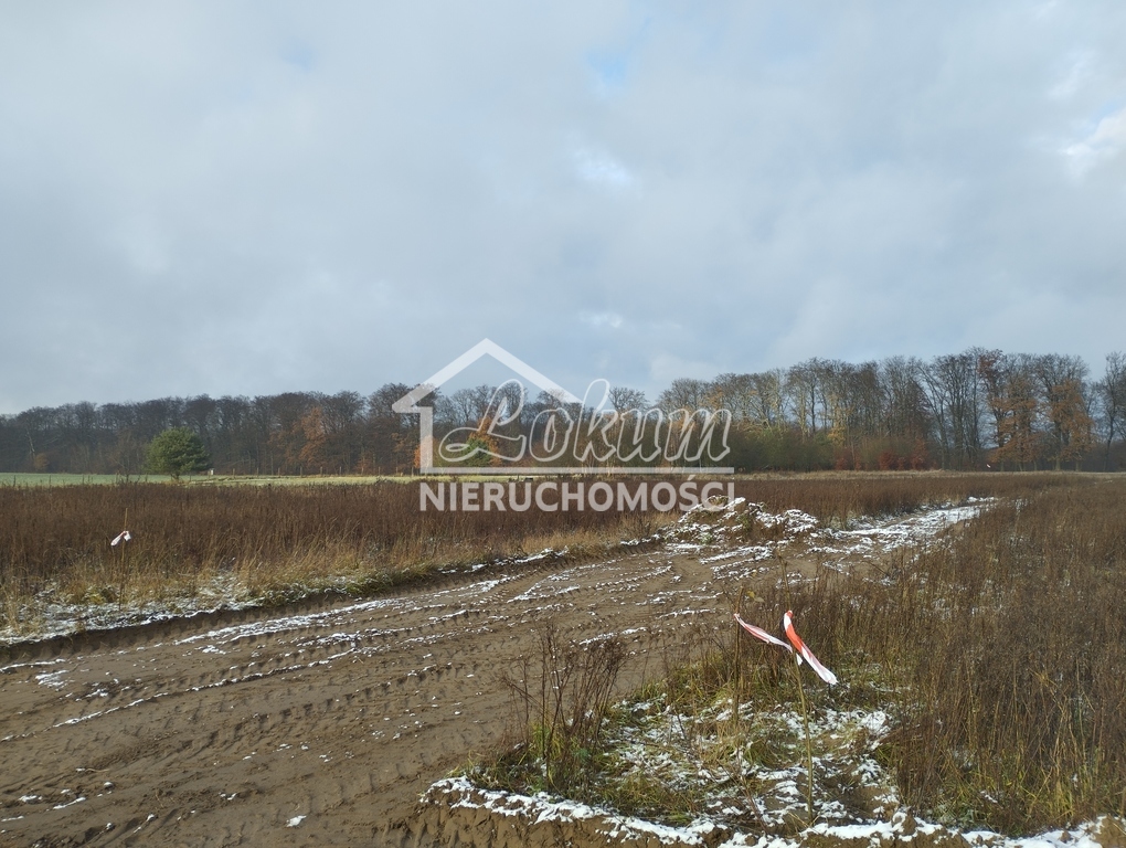 Działka budowlana 1951&nbsp;m², Dobropole Gryfińskie - zdjęcie 3