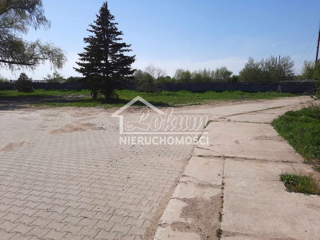 Wynajmę działkę 3980&nbsp;m², Ustowo - zdjęcie 1