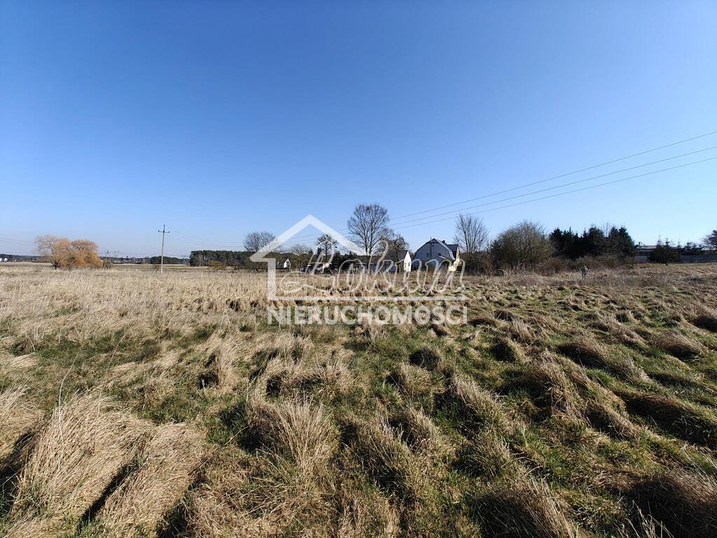 Działka budowlana 878&nbsp;m², Motaniec - zdjęcie 4