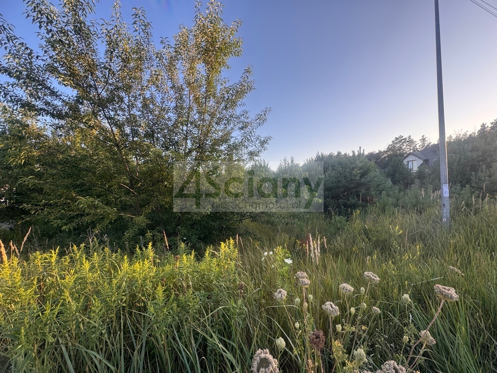 Działka budowlana 1231 m², Wieliszew - zdjęcie 8