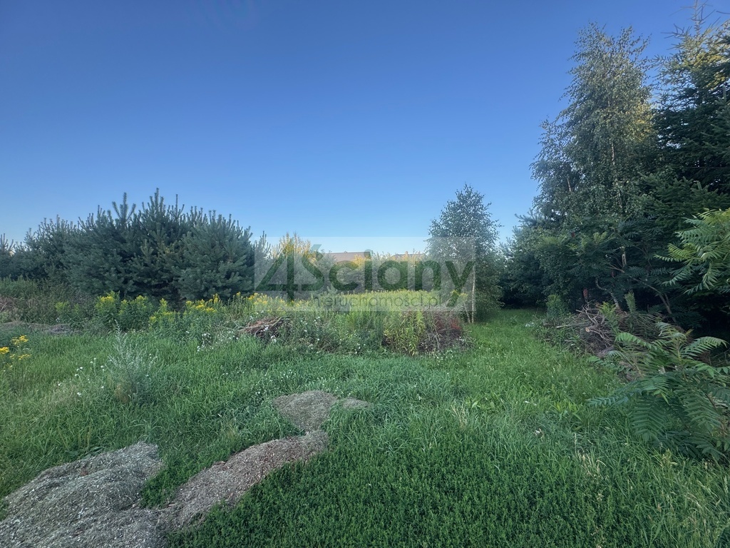 Działka budowlana 1231 m², Wieliszew - zdjęcie 5