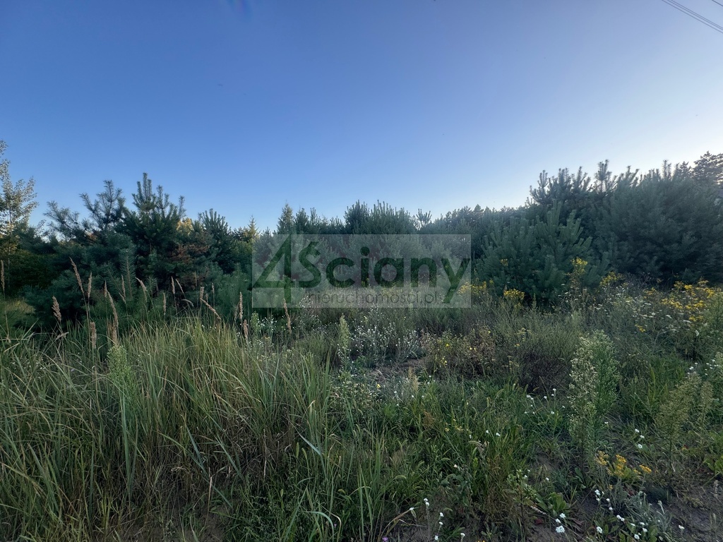 Działka budowlana 1231 m², Wieliszew - zdjęcie 4