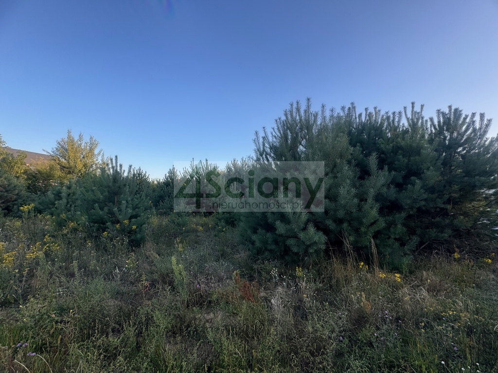 Działka budowlana 1231 m², Wieliszew - zdjęcie 1
