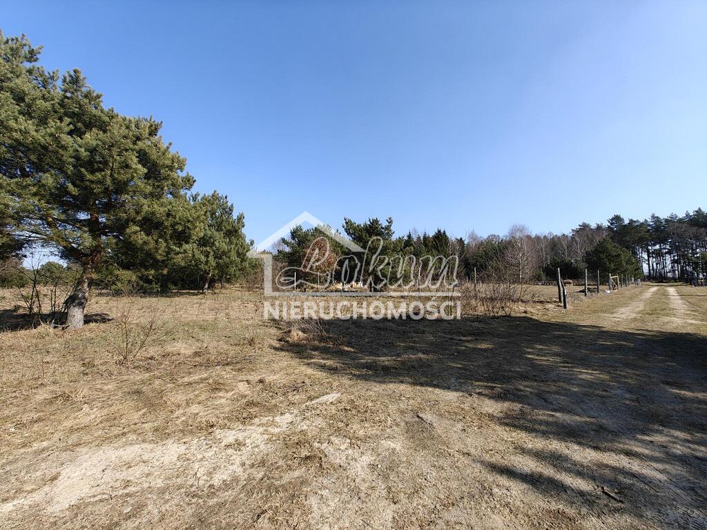 Działka budowlana 1777&nbsp;m², Żółwia Błoć - zdjęcie 1